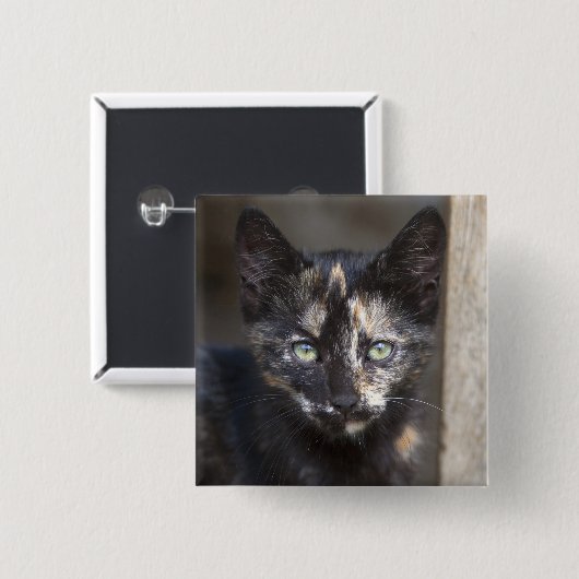 Tortoiseshell Kitten Button (Vorne & Hinten)