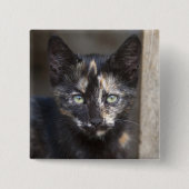Tortoiseshell Kitten Button (Vorderseite)