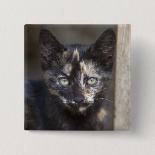 Tortoiseshell Kitten Button