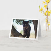 Tortoiseshell Kitten Karte (Gelbe Blume)