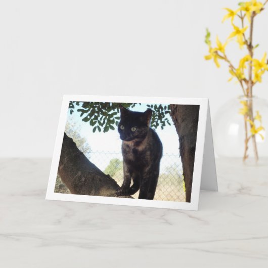 Tortoiseshell Kitten Karte (Gelbe Blume)