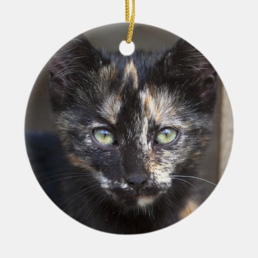 Tortoiseshell Kitten Keramik Ornament (Vorne)