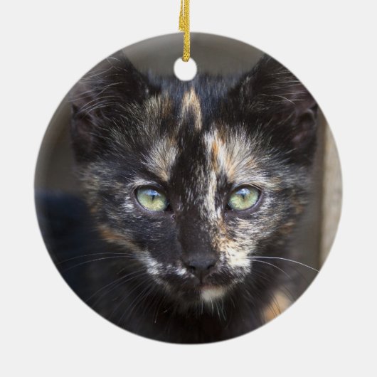 Tortoiseshell Kitten Keramik Ornament (Hinten)