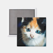 Tortoiseshell Kitten Magnet (Vorderseite/Rückseite)