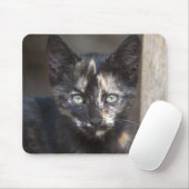 Tortoiseshell Kitten Mousepad (Mit Mouse)