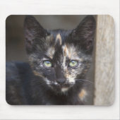 Tortoiseshell Kitten Mousepad (Vorne)