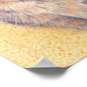 Tortoiseshell Ladies Poster (Ecke)
