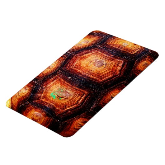 Tortoiseshell Magnet (Linke Seite)