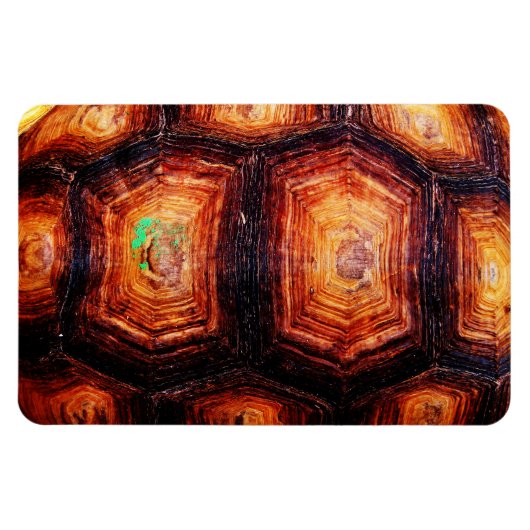 Tortoiseshell Magnet (Horizontal)