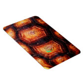 Tortoiseshell Magnet (Rechte Seite)