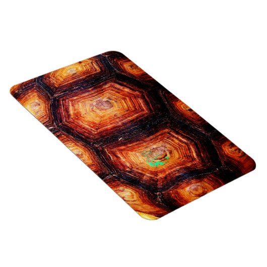 Tortoiseshell Magnet (Rechte Seite)