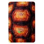 Tortoiseshell Magnet (Vertikal)