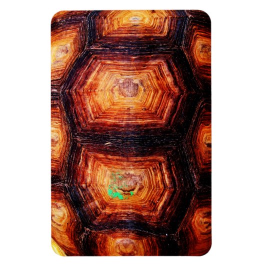 Tortoiseshell Magnet (Vertikal)