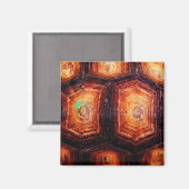 Tortoiseshell Magnet (Vorderseite/Rückseite)