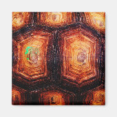 Tortoiseshell Magnet (Vorne)