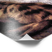 Tortoiseshell Persische Katzen Kunst Fotodruck (Ecke)