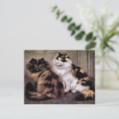 Tortoiseshell Persische Katzen Kunst Postkarte (Stehend Vorderseite)