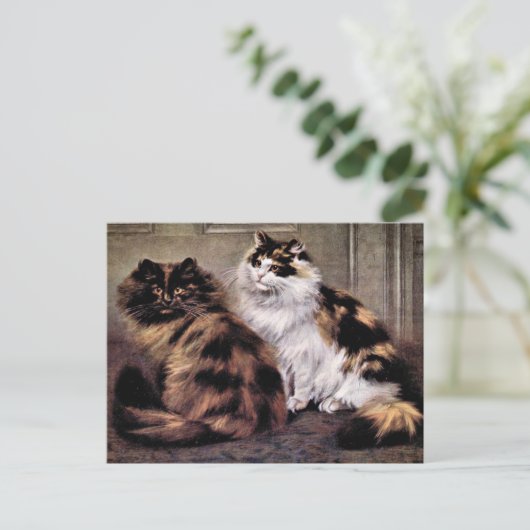 Tortoiseshell Persische Katzen Kunst Postkarte (Stehend Vorderseite)