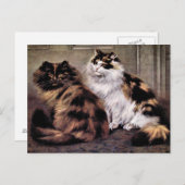 Tortoiseshell Persische Katzen Kunst Postkarte (Vorne/Hinten)