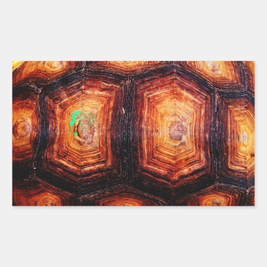 Tortoiseshell Rechteckiger Aufkleber (Vorderseite)