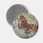 Tortoiseshell Schmetterlingmagnet Magnet (Vorderseite/Rückseite)