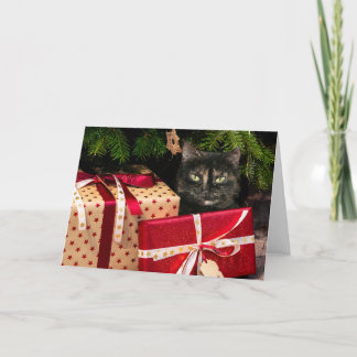 Tortoiseshell Weihnachtsfeier Feiertagskarte