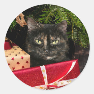 Tortoiseshell Weihnachtsfeier Runder Aufkleber