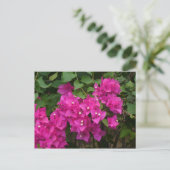 Tortola-Blume Postkarte (Stehend Vorderseite)