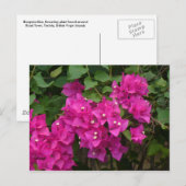 Tortola-Blume Postkarte (Vorne/Hinten)