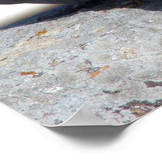 Tórtolas in Betancuria. Fürteventura. Poster (Ecke)