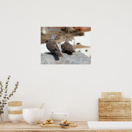 Tórtolas in Betancuria. Fürteventura. Poster (Küche)