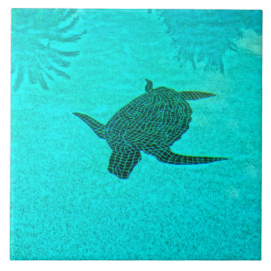 Tortuga Schildkröte-Mosaik auf Sanibel Insel Fliese