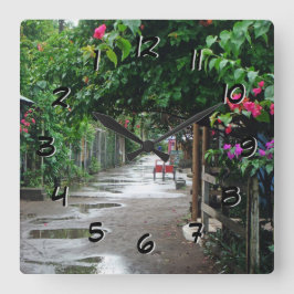 Tortuguero Costa Rica nach Regen-rückwärtiger Uhr