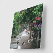 Tortuguero Costa Rica nach Regen-rückwärtiger Uhr (Winkel)