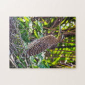 Tortuguero, Costa Rica Puzzle (Horizontal)