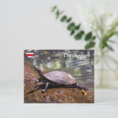 Tortuguero - Gelbbblasser-Schieber Schildkröte Postkarte (Stehend Vorderseite)