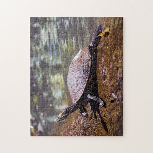 Tortuguero - Gelbbblasser-Schieber Schildkröte Puzzle (Vertikal)