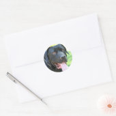 Tosa Inu Dog Runder Aufkleber (Umschlag)