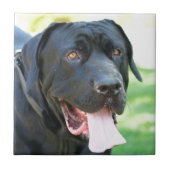 Tosa Inu Hund Fliese (Vorderseite)