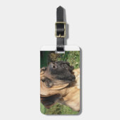 tosa.png gepäckanhänger (Vorderseite vertikal)