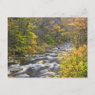 Tosender Bach im Herbst in Vermonts Green 2 Postkarte