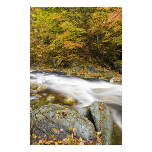 Tosender Bach im Herbst in Vermonts Green Fotodruck