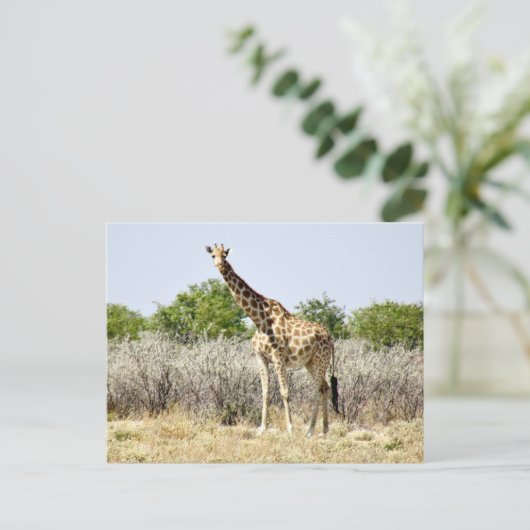 Tosha-Giraffe Postkarte (Stehend Vorderseite)