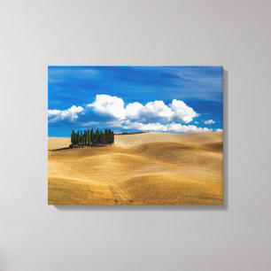 Toskana (Italien) Ebenen Landschaft Leinwanddruck