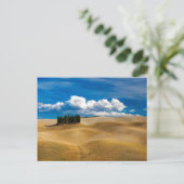 Toskana (Italien) Ebenen Landschaft Postkarte (Stehend Vorderseite)