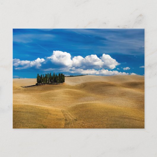 Toskana (Italien) Ebenen Landschaft Postkarte (Vorderseite)