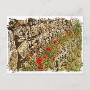Toskana, Italien. Illustration. Postkarte
