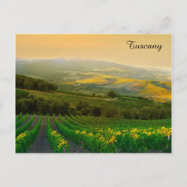 Toskana Italien Italien Weingarten Foto Postkarte
