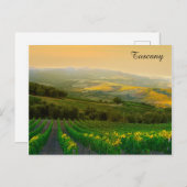 Toskana Italien Italien Weingarten Foto Postkarte (Vorne/Hinten)