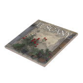 Toskana, Italien | Toskanische Türe Fliese (Seite)